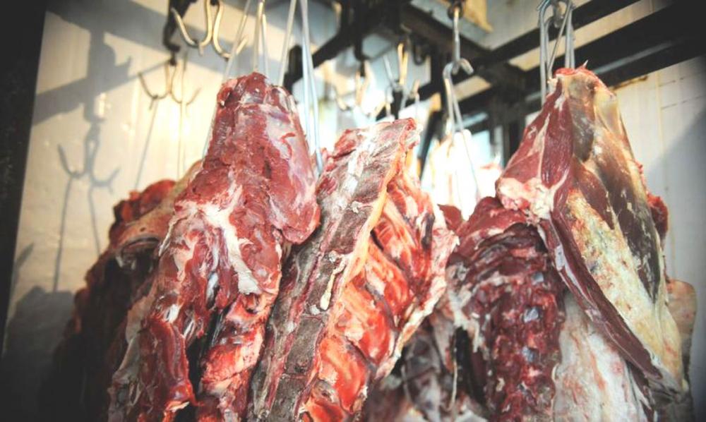 Estados Unidos voltam a importar carne fresca brasileira - Divulgação/Abiec/Arquivo
