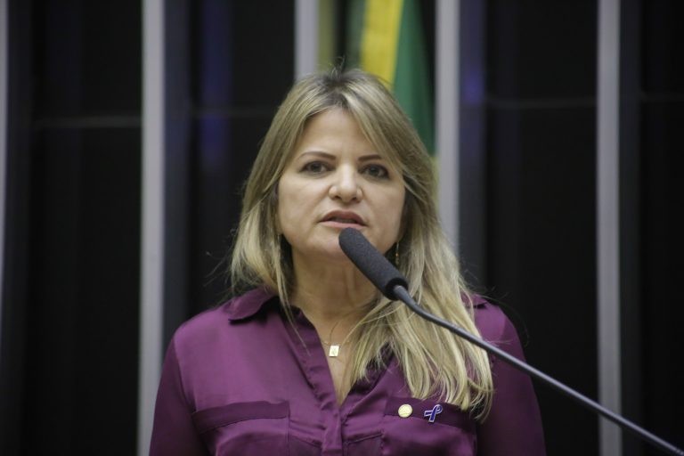 A relatora, deputada Flávia Morais, recomendou a aprovação do projeto - (Foto: Paulo Sergio/Câmara dos Deputados)