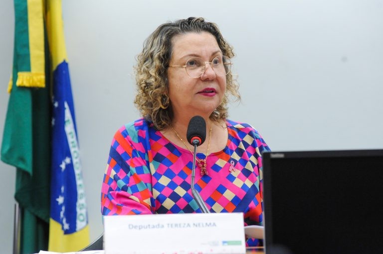 Tereza Nelma recomendou a aprovação da proposta - (Foto: Billy Boss/Câmara dos Deputados)