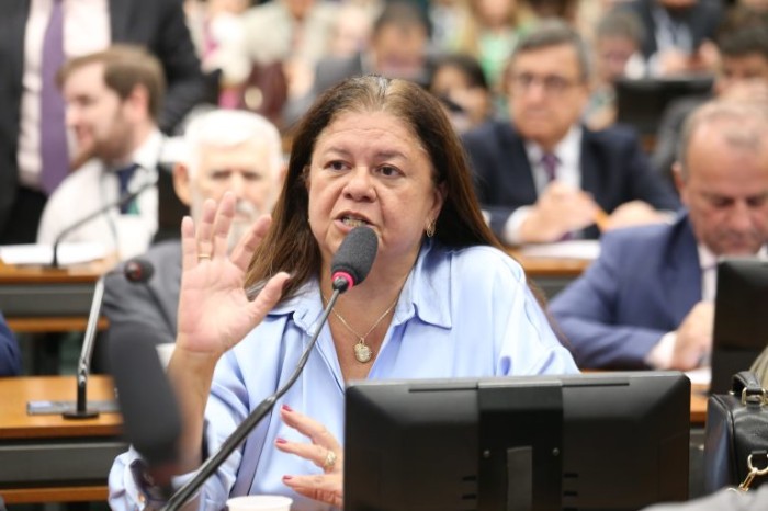 Laura Carneiro recomendou a aprovação da proposta - (Foto: Billy Boss/Câmara dos Deputados)
