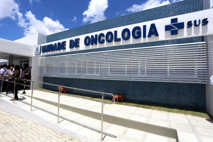 Câncer é uma das doenças que mais mata no País - (Foto: Hélia Scheppa/Governo de Pernambuco)