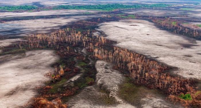 Carta do papa tratou do enfrentamento da crise climática provocada pela ação do homem - (Foto: Vinícius Mendonça/Ibama)