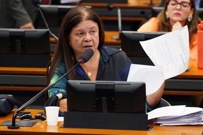 Para Laura Carneiro, é importante criar novas formas de proteção da mulher - (Foto: Pablo Valadares / Câmara dos Deputados)