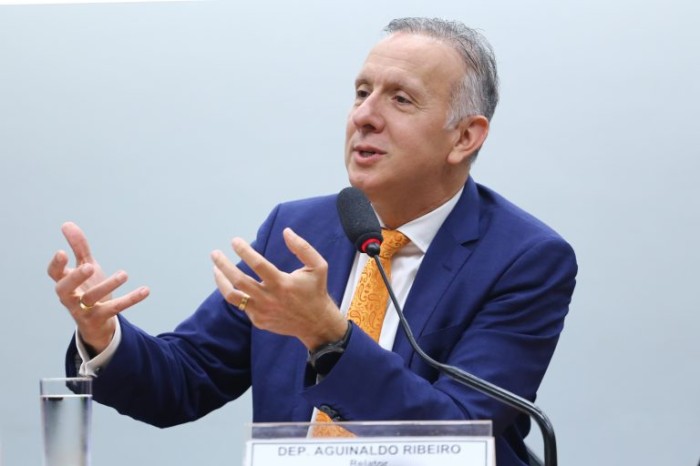 Aguinaldo Ribeiro, relator da reforma tributária - (Foto: Reprodução / TV Câmara)