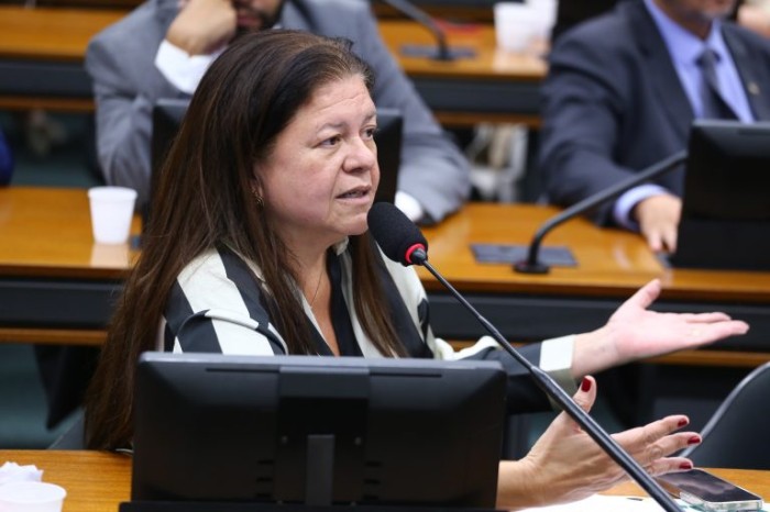 Deputada Laura Carneiro, relatora da proposta - (Foto: Vinicius Loures/Câmara dos Deputados)
