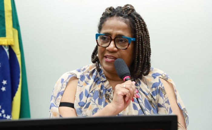 Reginete Bispo presidiu o debate e disse que vai continuar trabalhando pela igualdade - (Foto: Mario Agra/Câmara dos Deputados)