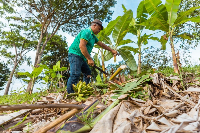 Foto: Reprodução/Prefeitura de Caruaru - PE