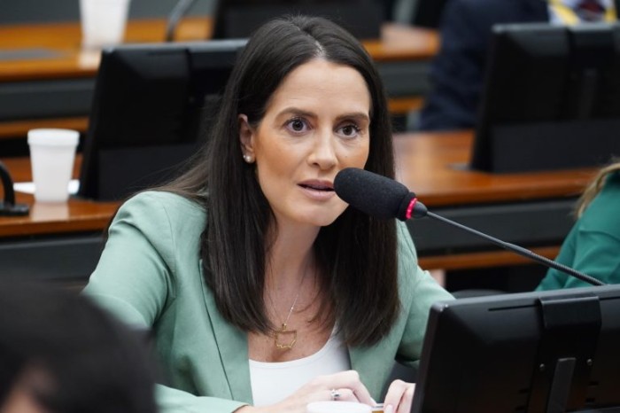 Amália Barros havia pedido a audiência - (Foto: Pablo Valadares / Câmara dos Deputados)
