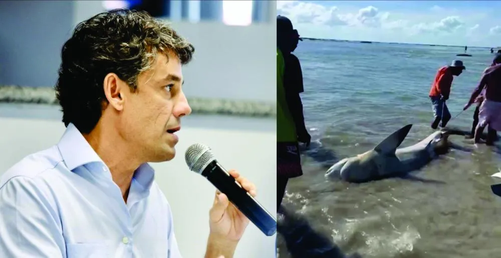 Foto-montagem do Depto. de Artes do Portal Difusão Brasil
