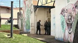 Vistoria apontou esgoto a céu aberto, falta de equipamentos e falhas de estrutura no departamento de bem-estar animal de Campinas, diz MP — Foto: Reprodução/EPTV